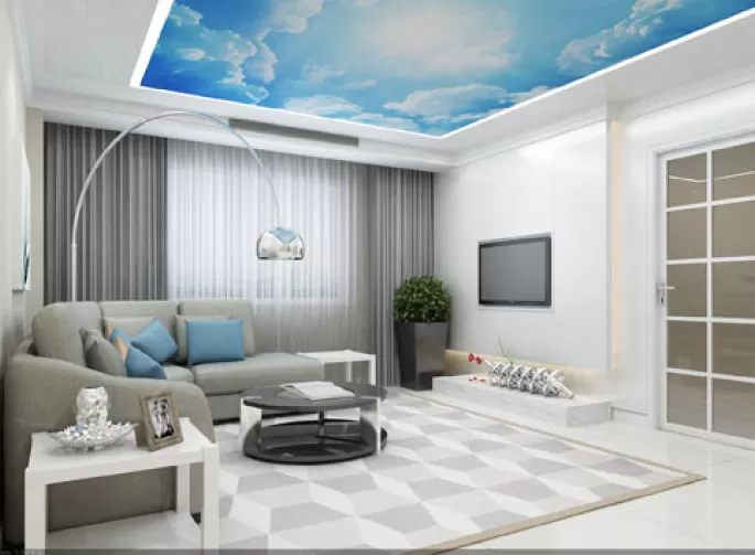 Натяжные потолки Double Vision